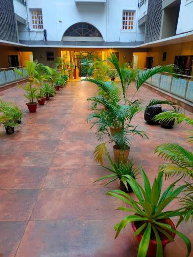 Flyhigh Holiday Near Calangute Beach Apartment